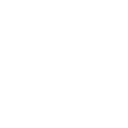 Sparkling Minds Association